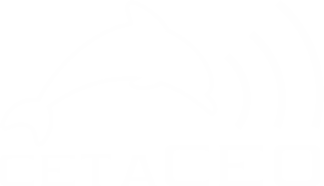 CetaCEO